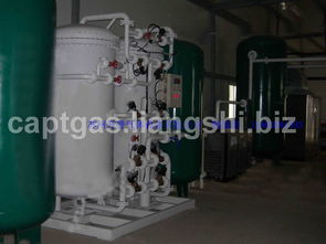 食品保鲜造氮机 守护品质与韵味的幕后元勋